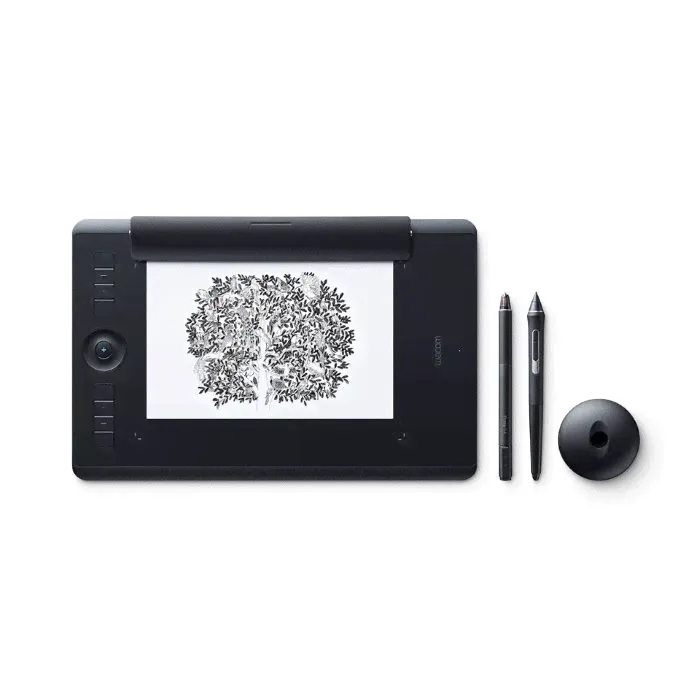 Графический планшет Wacom Intuos Pro Paper L (Large) А4 (PTH-860P-R)-0
